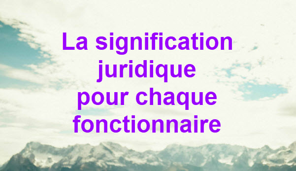 La signification juridique pour chaque fonctionnaire des nouvelles entreprises privées