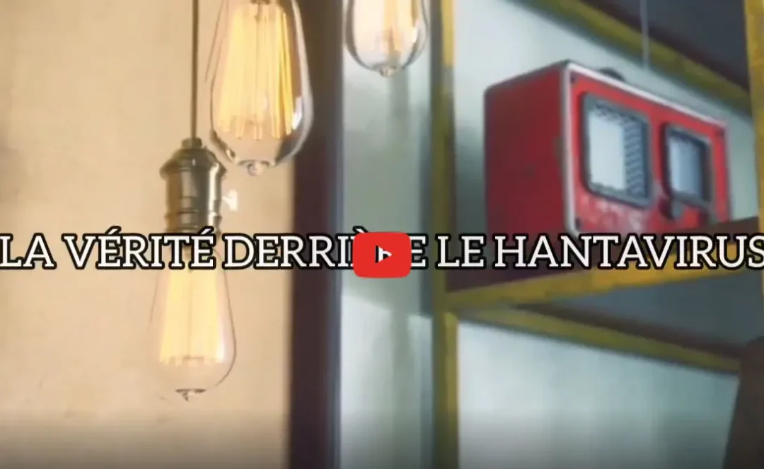 La vérité derrière le hantavirus